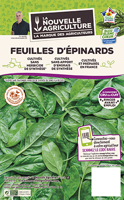 ÉPINARD